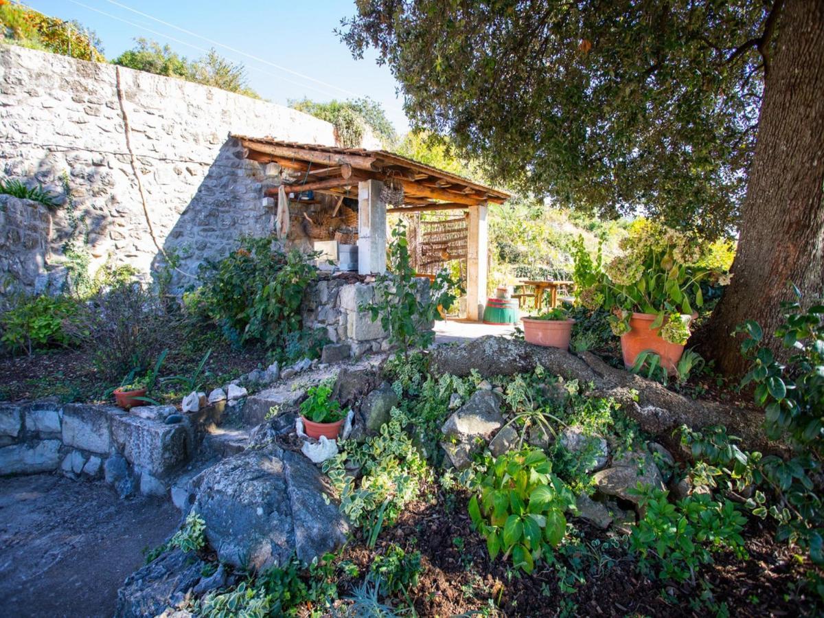 Country House Bakicevo Čilipi Δωμάτιο φωτογραφία