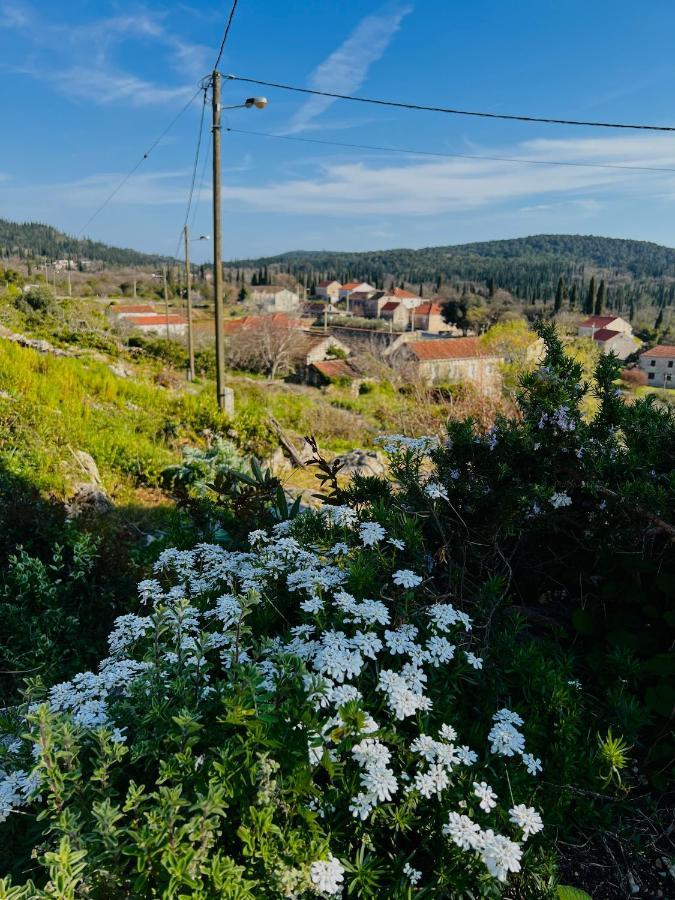 Country House Bakicevo Čilipi Εξωτερικό φωτογραφία