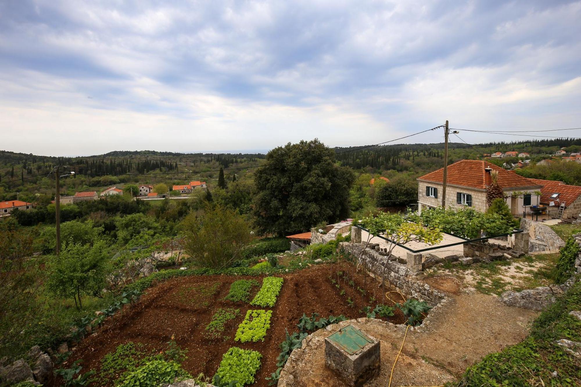 Country House Bakicevo Čilipi Εξωτερικό φωτογραφία