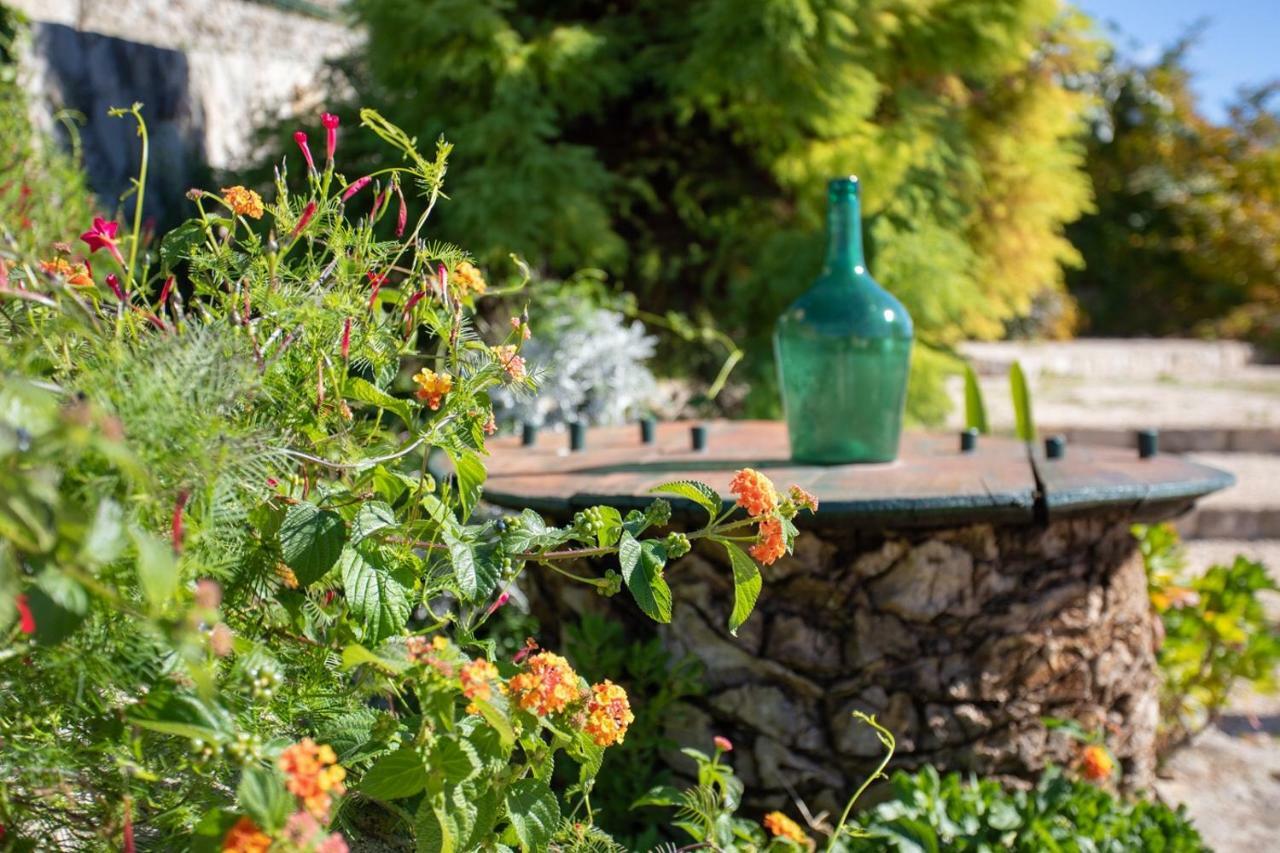Country House Bakicevo Čilipi Εξωτερικό φωτογραφία